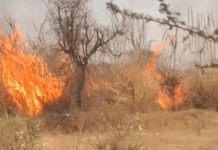 भरतपुर में IOCL की पाइपलाइन के पास आग लगने से अफरा तफरी मची