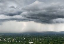 अजमेर में बारिश ने बदला मौसम का मिजाज, सरसों को नुकसान की आशंका, गेहूं को राहत