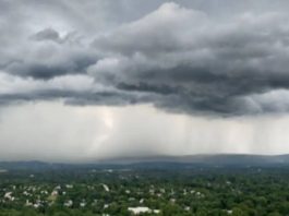 अजमेर में बारिश ने बदला मौसम का मिजाज, सरसों को नुकसान की आशंका, गेहूं को राहत