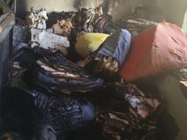 रूपवास तहसील के रिकॉर्ड रूम में आग लगने से कई फाइलें नष्ट