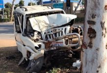 अलवर में पेड़ से टकराई कार, पुलिस के जवान की मौत