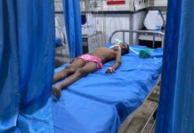 सुल्तानपुर लोधी में आवारा कुत्तों के झुंड ने मासूम को नोच-नोच कर मार डाला