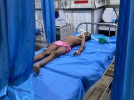 सुल्तानपुर लोधी में आवारा कुत्तों के झुंड ने मासूम को नोच-नोच कर मार डाला