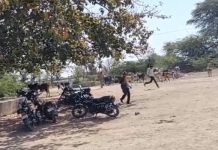 चित्तौड़गढ़ में मधुमक्खियों के हमले में दो लोगों की मौत