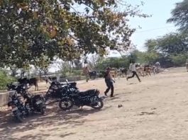 चित्तौड़गढ़ में मधुमक्खियों के हमले में दो लोगों की मौत