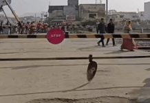 अजमेर में सुभाष नगर रेल फाटक स्थायी रूप से बंद