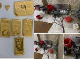 सोने की तस्करी में शामिल छह गिरफ्तार, करोड़ों का सोना बरामद