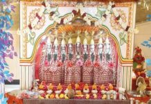 चैत्र नवरात्र शुभारंभ : नौसर माता मंदिर में गूंजे मां शैलपुत्री के जयकारे