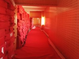 171 अरब हस्तलिखित श्रीराम नाम महामंत्रों की सतत परिक्रमा का शुभारम्भ 2 अप्रेल से