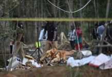 त्रिशूर पटाखा विस्फोट के पीड़ितों की पहचान के लिए डीएनए परीक्षण जारी