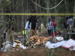 त्रिशूर पटाखा विस्फोट के पीड़ितों की पहचान के लिए डीएनए परीक्षण जारी