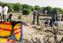 श्रीगंगानगर में श्रीकरनपुर सीमा क्षेत्र में खेत में डेढ़ किलो हेरोइन बरामद