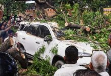 उत्तर प्रदेश में चक्रवाती तूफान और बारिश से 54 की मौत