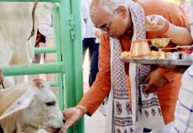 मदन दिलावर जोधपुर में गौ पूजन कार्यक्रम में हुए शामिल