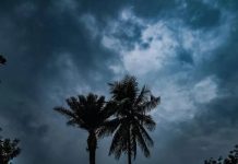 इस साल औसत से कम रहेगा मानसून : मौसम विभाग