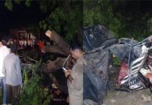 फिरोजाबाद में आंधी का कहर, ई-रिक्शा पर पेड़ गिरने से 5 की मौत