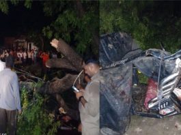 फिरोजाबाद में आंधी का कहर, ई-रिक्शा पर पेड़ गिरने से 5 की मौत