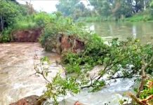 गुरदासपुर में नहर टूटने से बाढ़ जैसे हालात, सैकड़ों एकड़ फसल जलमग्न