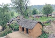 अलवर : जमीन के अभाव में अटका सरिस्का के 6 गांवों का विस्थापन