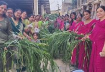 जीवदया के तहत 200 अशक्त गोवंश को अर्पित किया हरा चारा और गुड़