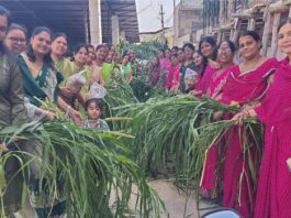 जीवदया के तहत 200 अशक्त गोवंश को अर्पित किया हरा चारा और गुड़