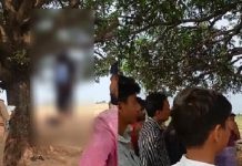 महोबा में पेड़ पर फांसी पर झूलते मिले युगल के शव