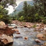 बारिश के कारण सरिस्का के जंगलों में पर्यटकों के प्रवेश पर आंशिक प्रतिबंध
