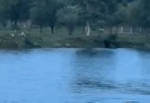 ब्लू वॉटर खदान पर लगेगा प्रतिबंध, लगातार हादसों के बाद चारों ओर होगी फेंसिंग