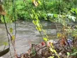 पतंग के पीछे भागते समय खुले नाले में गिरे किशोर का नहीं मिला सुराग, तलाशी अभियान बंद