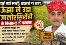 छोटी-मोटी उपलब्धि ओढ़ते रहे सांसद, ऊंझा ले उड़ा सिरोही-जालोर के किसानों की पहचान !