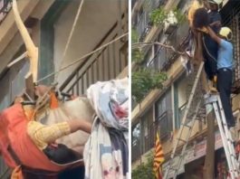 मुंबई में इमारत की 10वीं मंजिल से गिरी महिला, पेड़ पर अटकने से बची जान
