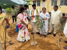 नेशनल मेडिकोज ऑर्गनाइजेशन ने माकड़वाली पीएचसी में लगाए 50 पौधे