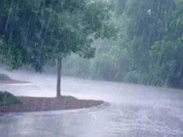 महाराष्ट्र के विदर्भ में बारिश का कहर, अब तक 10 लोगों की मौत