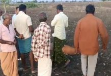 रायचूर में पत्थर से पीट-पीटकर महिला की हत्या, डेढ़ साल की उसकी बेटी को शव के ऊपर छोड़ा