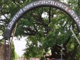 बैतूल में कथित धर्मांतरण मामले में पादरी रेगलीन इमैनुएल की जमानत याचिका खारिज