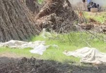 डीग में जुड़वां भाइयों की हत्या का खुलासा, मां ने प्रेमी और बड़े बेटे के साथ मिलकर रची थी साजिश