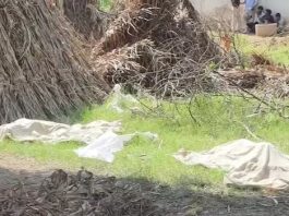 डीग में जुड़वां भाइयों की हत्या का खुलासा, मां ने प्रेमी और बड़े बेटे के साथ मिलकर रची थी साजिश