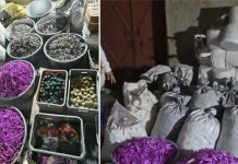 चित्तौड़गढ़ के खेत में चल रही थी अवैध पटाखा फैक्ट्री, 15 क्विंटल बारूद बरामद; 9 अरेस्ट