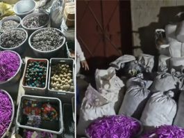 चित्तौड़गढ़ के खेत में चल रही थी अवैध पटाखा फैक्ट्री, 15 क्विंटल बारूद बरामद; 9 अरेस्ट
