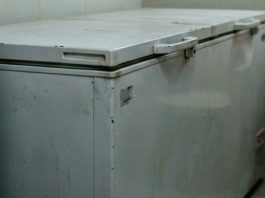 4 साल से फ्रीजर में रखा था 80 साल के बुजुर्ग का शव, विदेशी कंपनी से कराया था प्रिजर्व
