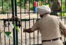 जीरकपुर के नेचर पार्क में गर्दन कटा शव मिलने से सनसनी, हत्या की आशंका