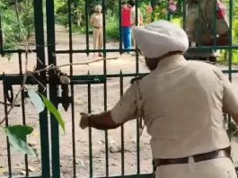 जीरकपुर के नेचर पार्क में गर्दन कटा शव मिलने से सनसनी, हत्या की आशंका