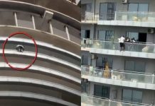 नोएडा की सुपरनोवा बिल्डिंग से कूदकर युवक ने की आत्महत्या, 43वीं मंजिल से लगाई छलांग