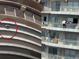 नोएडा की सुपरनोवा बिल्डिंग से कूदकर युवक ने की आत्महत्या, 43वीं मंजिल से लगाई छलांग