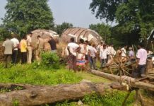 रायपुर के आरंग में दोहरा हत्याकांड : घर में मिले बुजुर्ग दंपती के सिर कटे शव